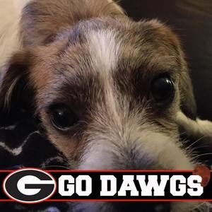 Meet your Posher, Darlene